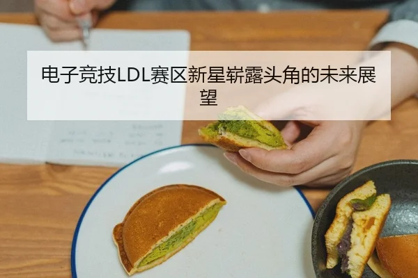 电子竞技LDL赛区新星崭露头角的未来展望