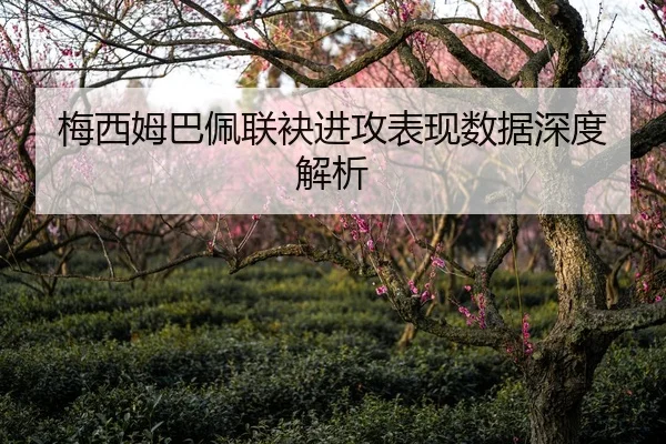 梅西姆巴佩联袂进攻表现数据深度解析